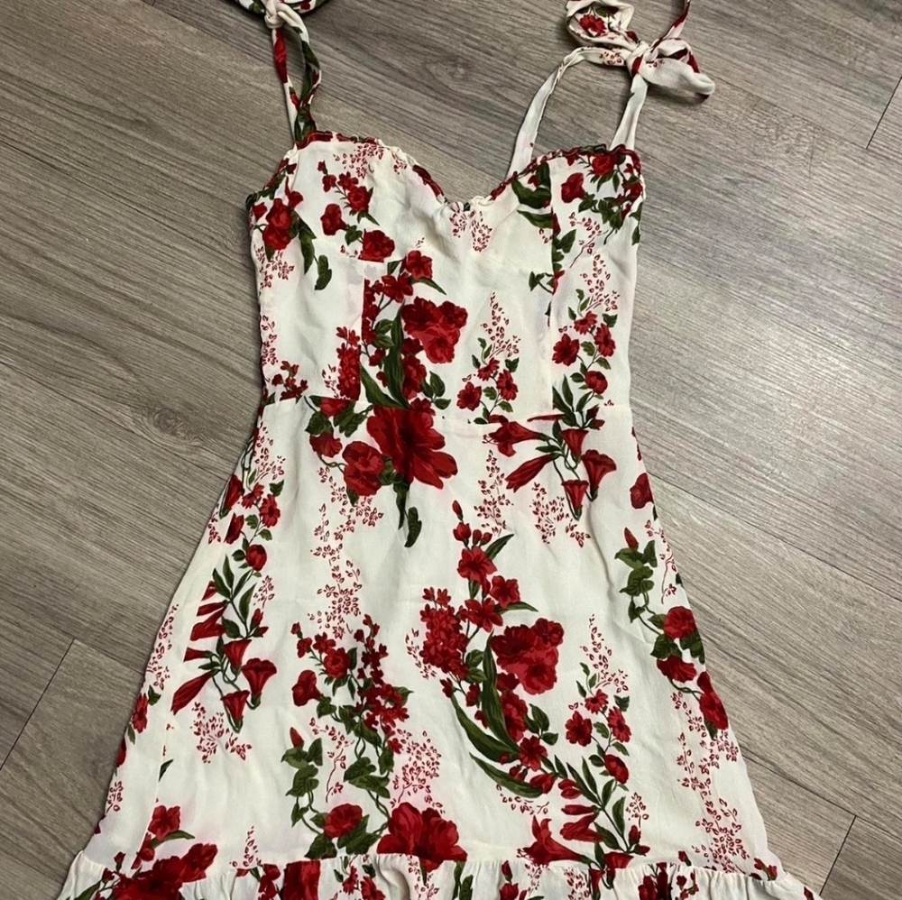 Reformation - Romantic Floral Sundress with Red Roses - 6